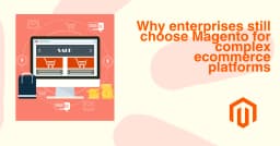 Why Magento Is Still the Best Platform for Complex & Enterprise-Scale E-commerce