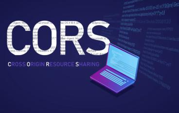drupal 8 cors fix