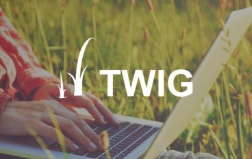 Custom twig function and filter