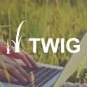 Custom twig function and filter